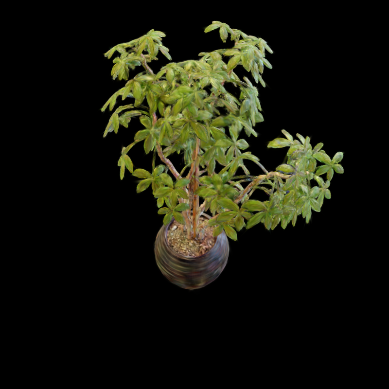 Ficus view with bit accuracy 0.59375