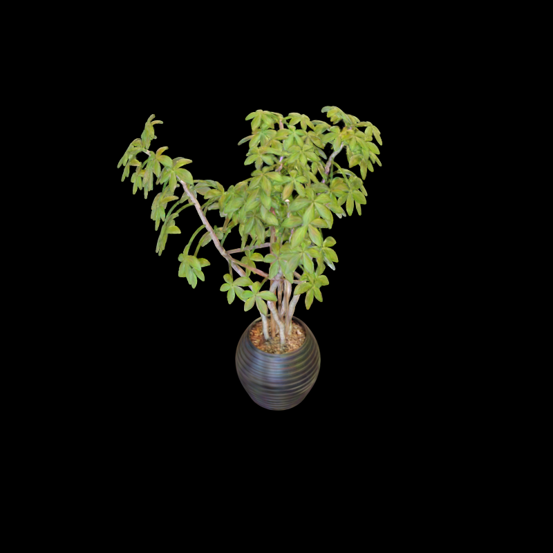 Ficus view with bit accuracy 0.375