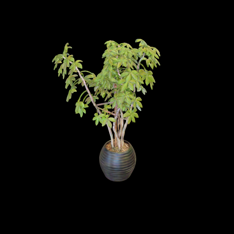 Ficus view with bit accuracy 0.4375