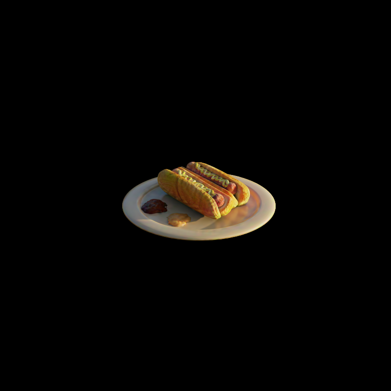 Hotdog view with bit accuracy 0.4375